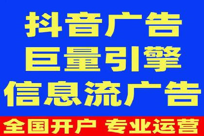 竞价广告策略案例分析